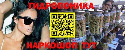 крисы Татарск